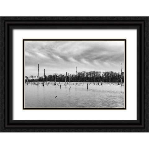 Tired Creek Clouds Black Ornate Wood Framed Art Print with Double Matting by Malone, Will