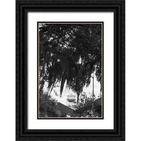 Tree Beard Black Ornate Wood Framed Art Print with Double Matting by Malone, Will
