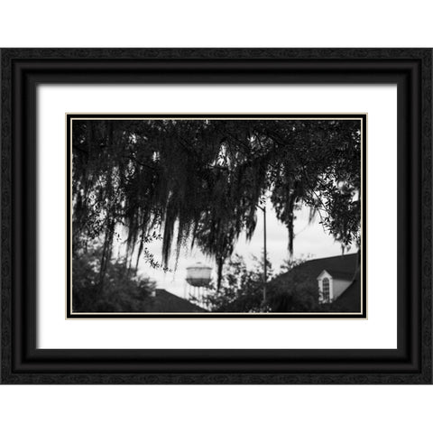 Tree Beard 2 Black Ornate Wood Framed Art Print with Double Matting by Malone, Will