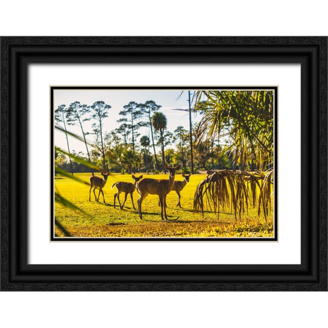 Wassup Black Ornate Wood Framed Art Print with Double Matting by Malone, Will