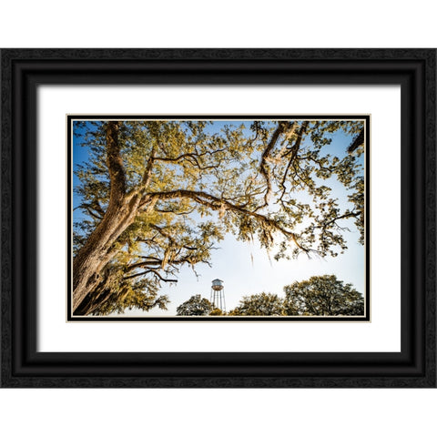 Watertower 4 Black Ornate Wood Framed Art Print with Double Matting by Malone, Will