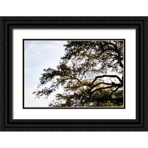 Watertower 5 Black Ornate Wood Framed Art Print with Double Matting by Malone, Will