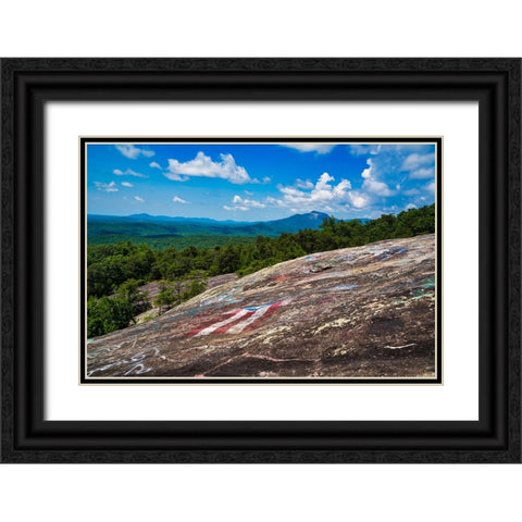 American Bald Horizontal Black Ornate Wood Framed Art Print with Double Matting by Malone, Will