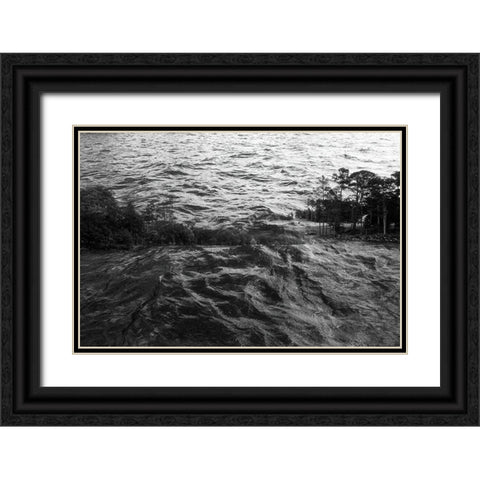 Lake Hartwell I Black Ornate Wood Framed Art Print with Double Matting by Malone, Will