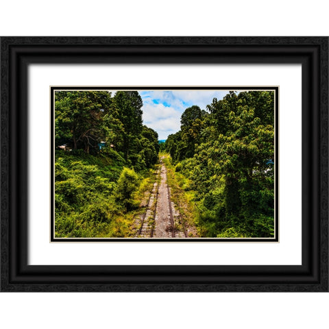 Overgrowth 2 Black Ornate Wood Framed Art Print with Double Matting by Malone, Will