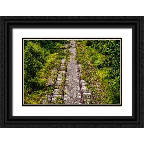 Overgrowth  Black Ornate Wood Framed Art Print with Double Matting by Malone, Will