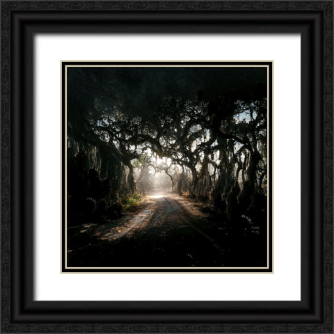 Road in the Woods 3 Black Ornate Wood Framed Art Print with Double Matting by Screendoor