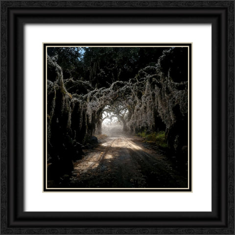 Road in the Woods 4 Black Ornate Wood Framed Art Print with Double Matting by Screendoor