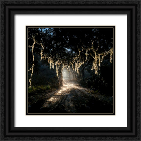 Road in the Woods 7 Black Ornate Wood Framed Art Print with Double Matting by Screendoor