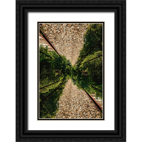 Saluda Tracks Upside Down 2 Black Ornate Wood Framed Art Print with Double Matting by Malone, Will