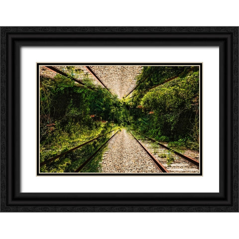 Saluda Tracks Upside Down 3 Black Ornate Wood Framed Art Print with Double Matting by Malone, Will