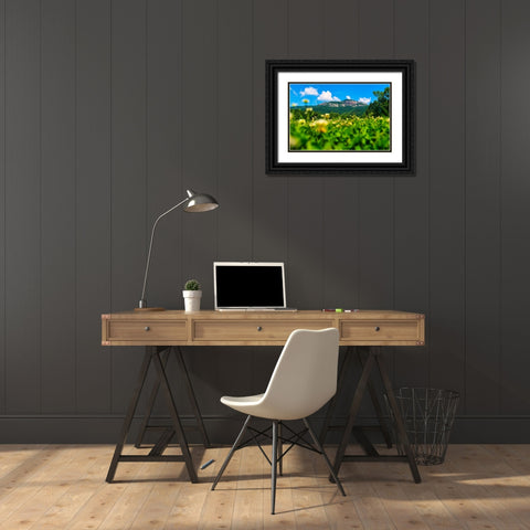 Table Rock Horizontal Black Ornate Wood Framed Art Print with Double Matting by Malone, Will