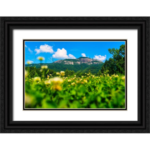 Table Rock Horizontal Black Ornate Wood Framed Art Print with Double Matting by Malone, Will