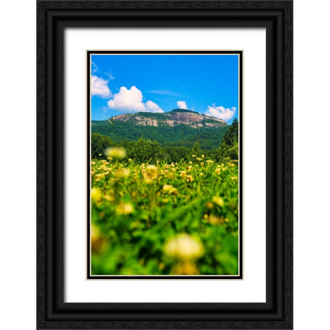 Table Rock Vertical Black Ornate Wood Framed Art Print with Double Matting by Malone, Will