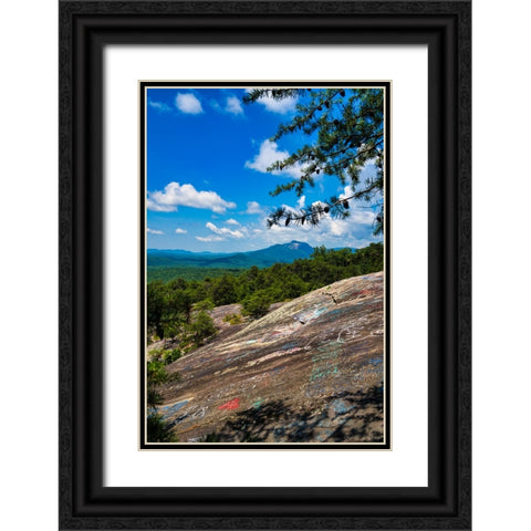 The Bald 2 Black Ornate Wood Framed Art Print with Double Matting by Malone, Will