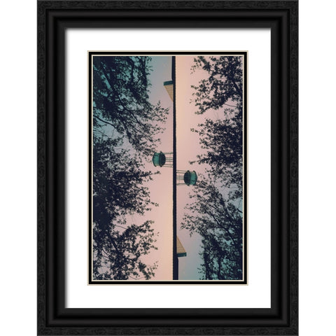 Thomasville II Black Ornate Wood Framed Art Print with Double Matting by Malone, Will