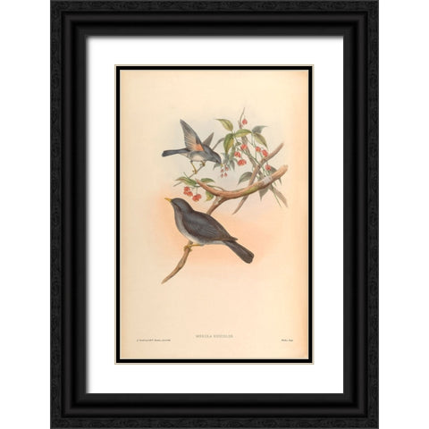 Merula Unicolor Black Ornate Wood Framed Art Print with Double Matting by CAG