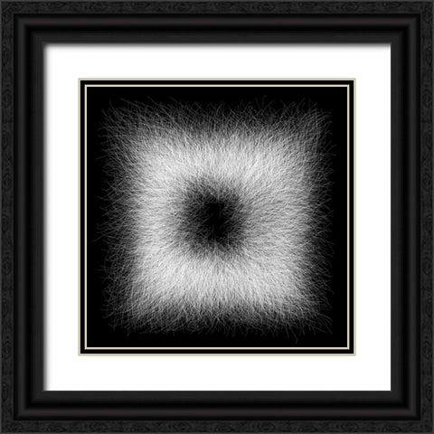 Strokes III Black Ornate Wood Framed Art Print with Double Matting by Sina