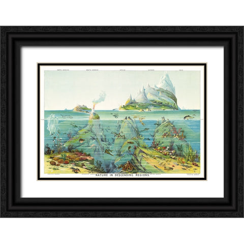 Nature in Descending Regions - 1893 Black Ornate Wood Framed Art Print with Double Matting by Yaggy, Levi Walter
