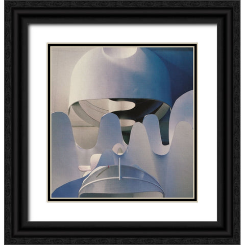 Radius Black Ornate Wood Framed Art Print with Double Matting by Wonder, Howie