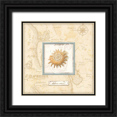 Sea Treasure III Black Ornate Wood Framed Art Print with Double Matting by Audrey, Charlene