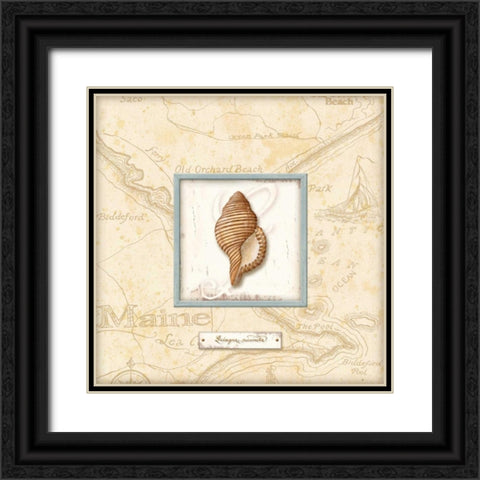 Sea Treasure IV Black Ornate Wood Framed Art Print with Double Matting by Audrey, Charlene
