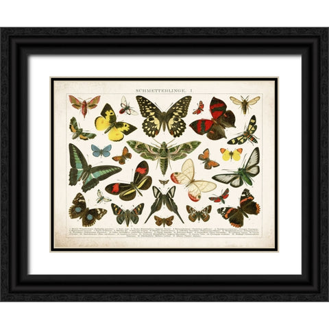 Butterfly Chart Black Ornate Wood Framed Art Print with Double Matting by Babbitt, Gwendolyn