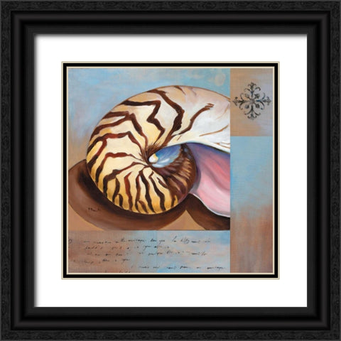 Sanibel Nautilus Black Ornate Wood Framed Art Print with Double Matting by Brent, Paul