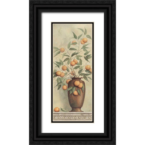 Apricotier Black Ornate Wood Framed Art Print with Double Matting by Brissonnet, Daphne