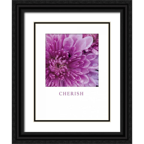 Cherish Black Ornate Wood Framed Art Print with Double Matting by Berzel, Erin