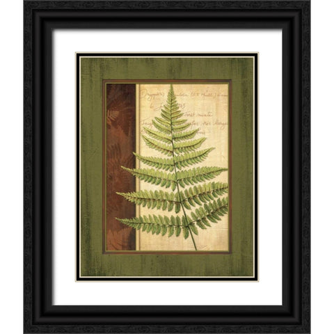 Fern Grotto I Black Ornate Wood Framed Art Print with Double Matting by Corbin, Delphine