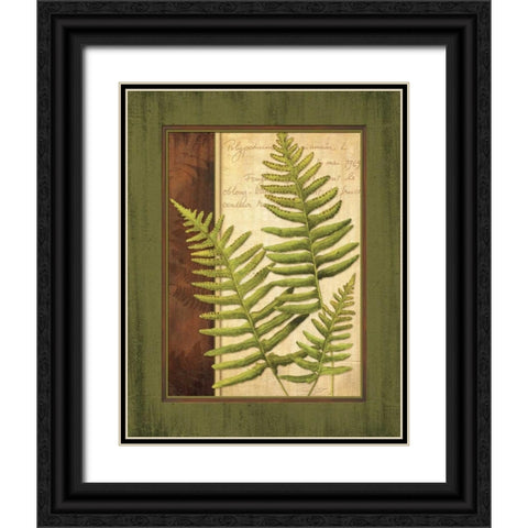 Fern Grotto III Black Ornate Wood Framed Art Print with Double Matting by Corbin, Delphine