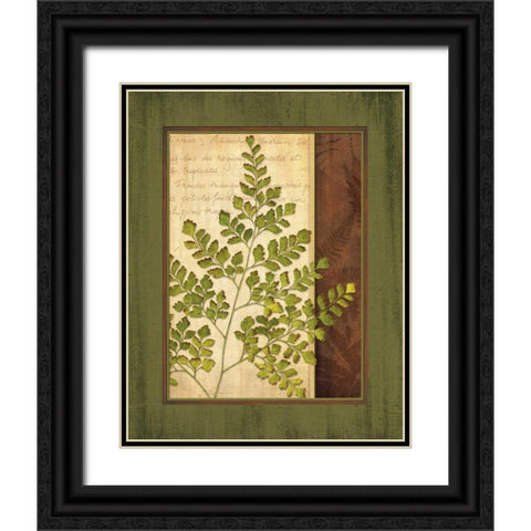 Fern Grotto IV Black Ornate Wood Framed Art Print with Double Matting by Corbin, Delphine