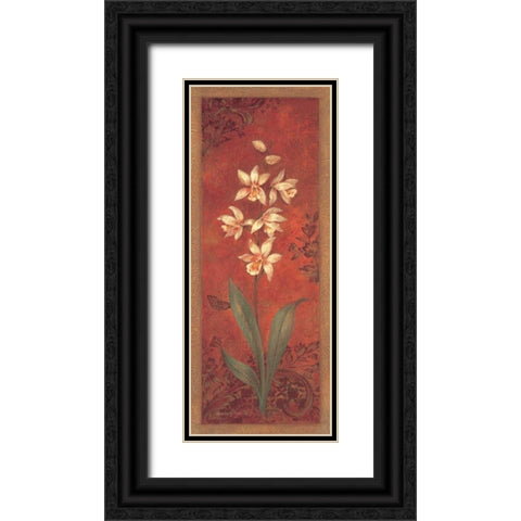 Cymbidium Black Ornate Wood Framed Art Print with Double Matting by Gladding, Pamela
