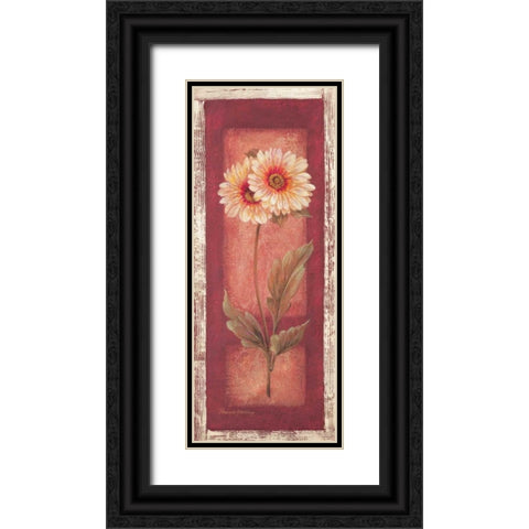 Red Door Gaillardia Black Ornate Wood Framed Art Print with Double Matting by Gladding, Pamela