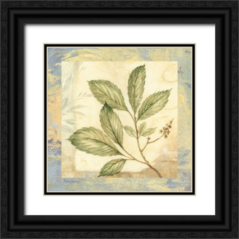 Leaf Botanicals II Black Ornate Wood Framed Art Print with Double Matting by Gladding, Pamela
