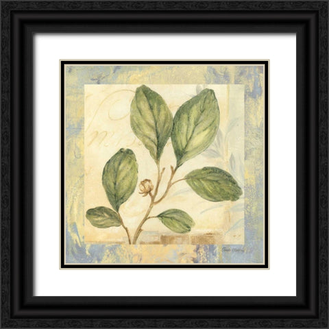 Leaf Botanicals IV Black Ornate Wood Framed Art Print with Double Matting by Gladding, Pamela