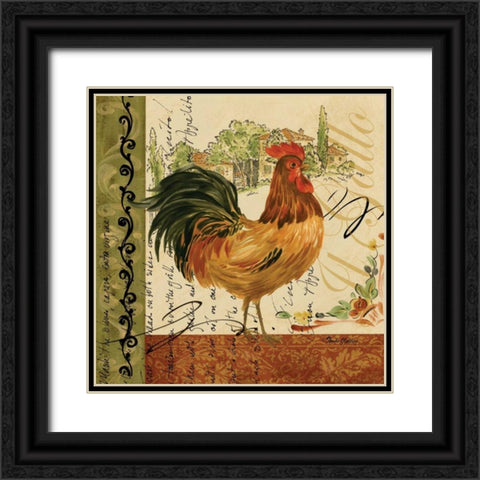 Viva Italia Roosters III Black Ornate Wood Framed Art Print with Double Matting by Gladding, Pamela
