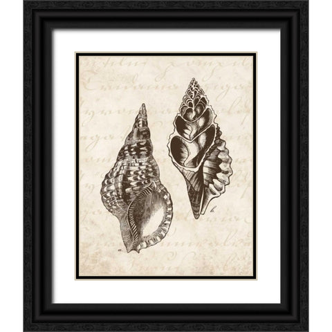 Elegant Shells I - mini Black Ornate Wood Framed Art Print with Double Matting by Harbick, N