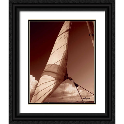 Windward Sail II Black Ornate Wood Framed Art Print with Double Matting by Hausenflock, Alan