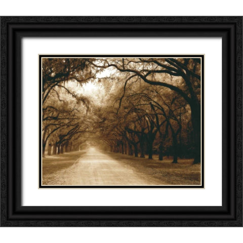 Savannah Oaks I Black Ornate Wood Framed Art Print with Double Matting by Hausenflock, Alan