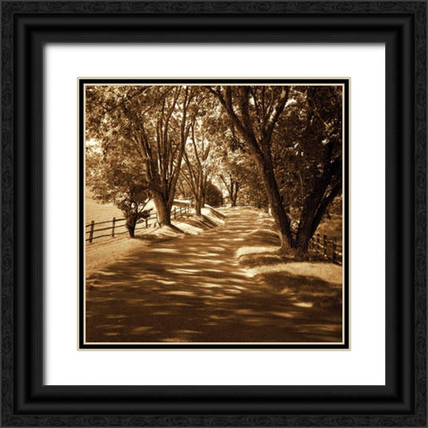 Ash Lawn II Black Ornate Wood Framed Art Print with Double Matting by Hausenflock, Alan