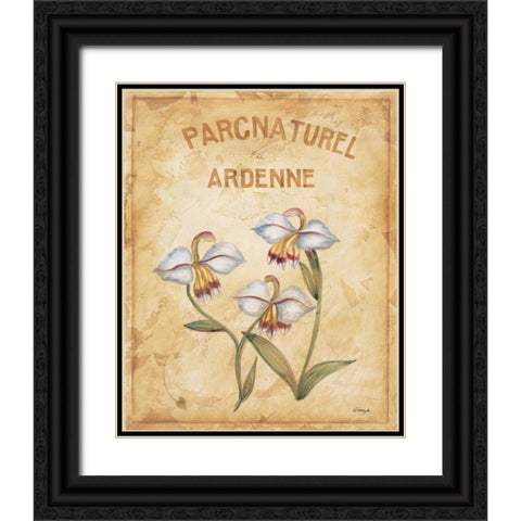 Parcnaturel II Black Ornate Wood Framed Art Print with Double Matting by Linza, Loretta
