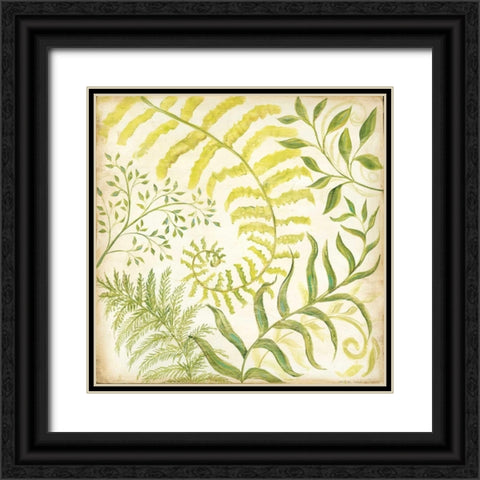 Fern Botanical I Black Ornate Wood Framed Art Print with Double Matting by McRostie, Kate