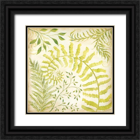 Fern Botanical II Black Ornate Wood Framed Art Print with Double Matting by McRostie, Kate