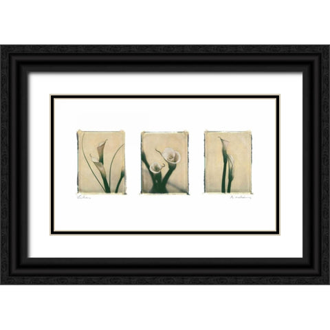 Lilies Black Ornate Wood Framed Art Print with Double Matting by Melious, Amy