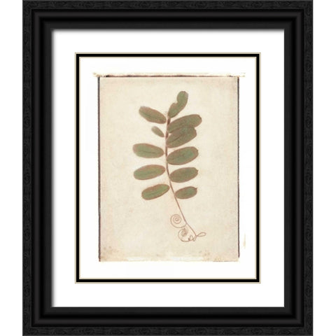 Tendril Black Ornate Wood Framed Art Print with Double Matting by Melious, Amy