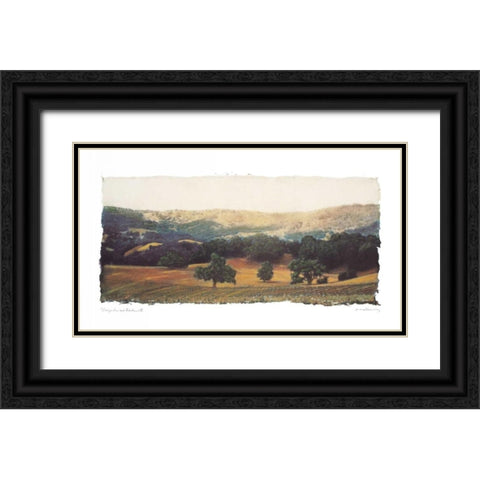 Vineyard and Oak II Black Ornate Wood Framed Art Print with Double Matting by Melious, Amy