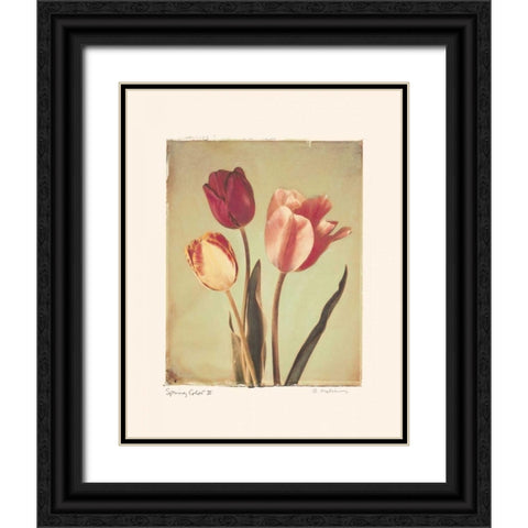 Spring Color II Black Ornate Wood Framed Art Print with Double Matting by Melious, Amy