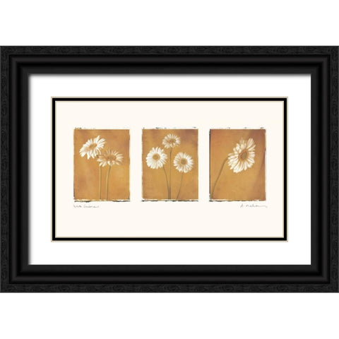 White Gerbers Black Ornate Wood Framed Art Print with Double Matting by Melious, Amy